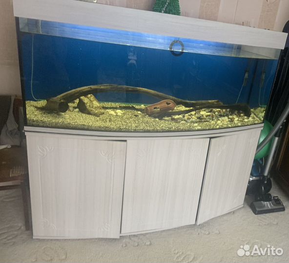 Панорамный аквариум (индивидуального заказа)