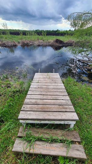 Дача 40 м² на участке 6 сот.