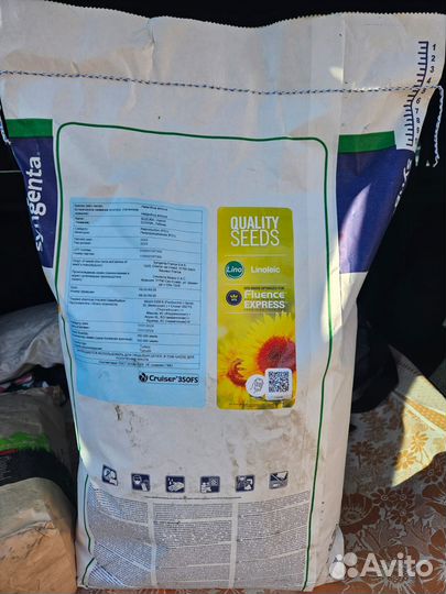 Семечки подсолнечника Сузука и Сумико