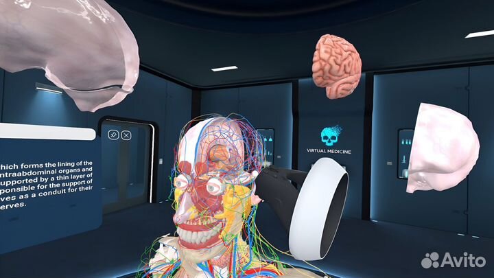 Human Anatomy VR2 PS5