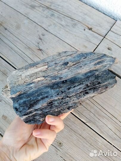 Коряги дрифтвуд