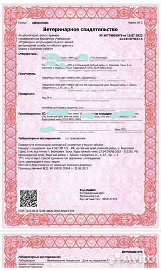 Алтайские меда 2023