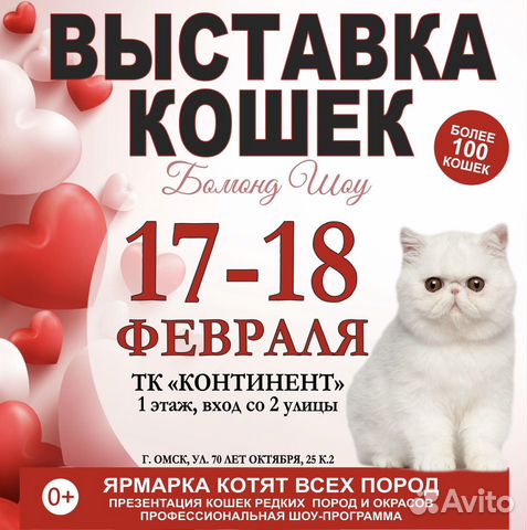 Выставка кошек 17-18 февраля в Континенте объявление продам
