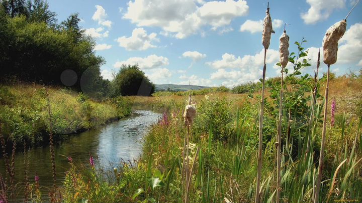 Участок 3,2 га (СНТ, ДНП)