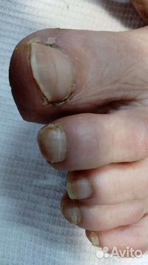 Маникюр, коррекция и окрашивание бровей и ресниц