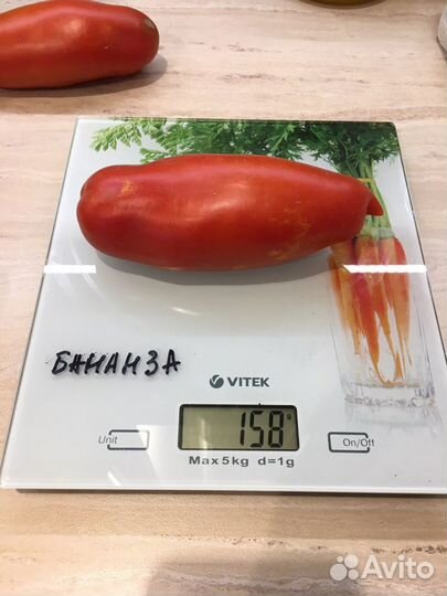 Рассада сортовых помидор