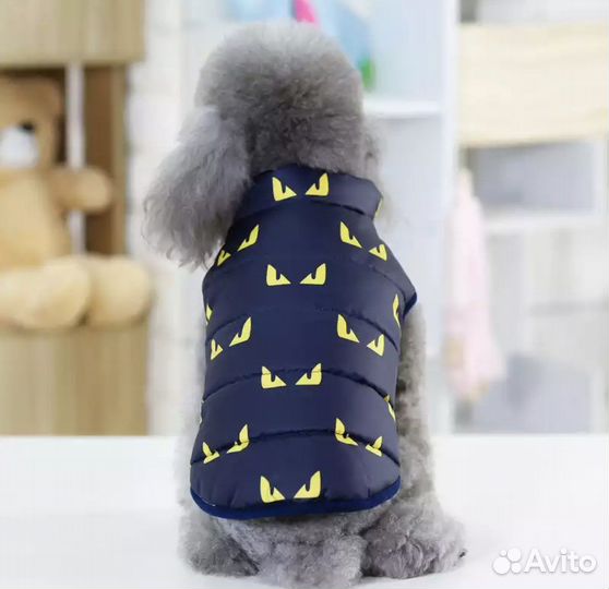 Одежда для собаки на зиму или осень