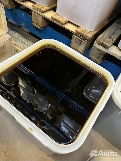 Гречишный натуральный мёд Качка 2023 только опт