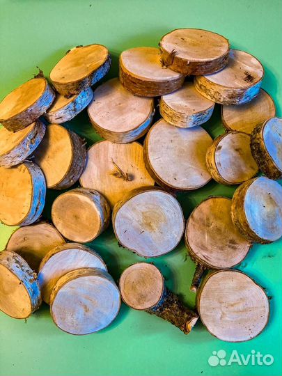 Спил березы