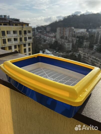 Кошачий лоток