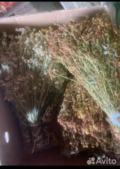 Эвкалипт сер, Веники, травы (запарки для бани)