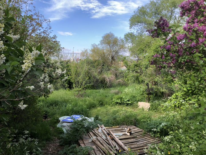 Участок 18,3 сот. (ИЖС)