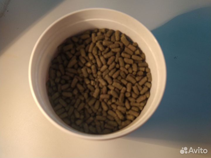 Корм для черепах