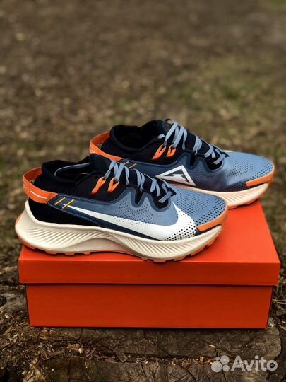 Беговые кроссовки nike pegasus trail 2