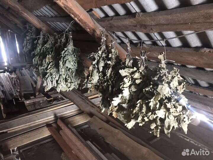 Веники дубовые