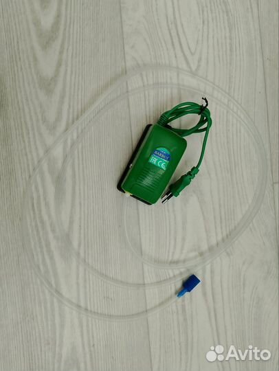 Аквариумные рыбки с аквариумом