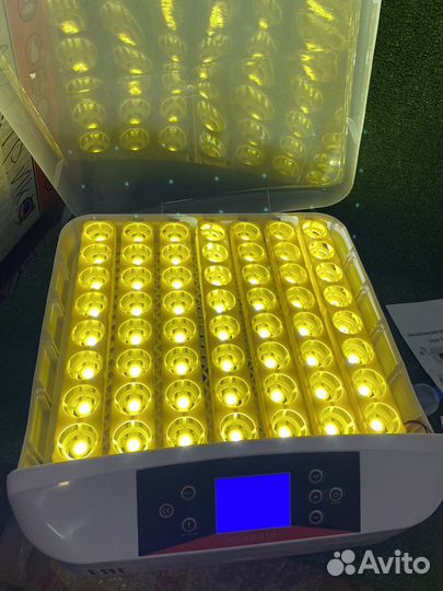 Инкубатор Egg Incubator HHD EW-56S 56 яиц
