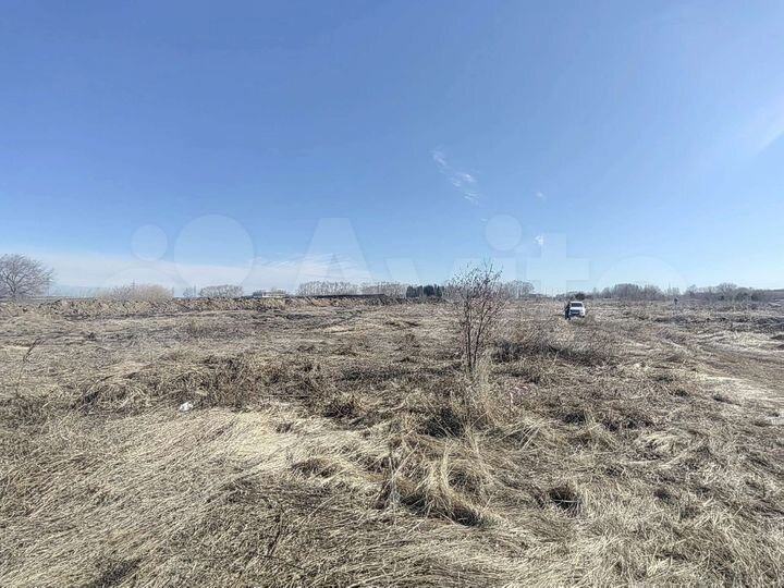 Участок 51 сот. (СНТ, ДНП)