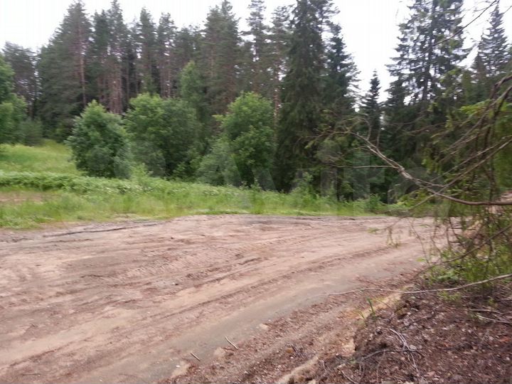 Участок 60 сот. (ИЖС)