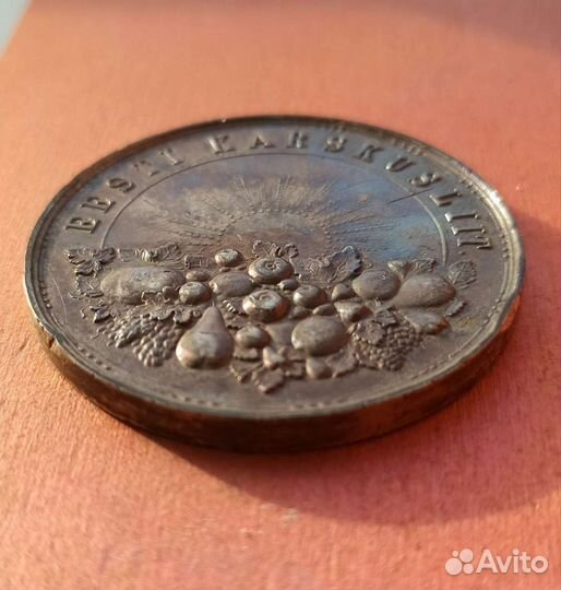 Медаль за Трезвость 1837 г. (Уткин) региональная