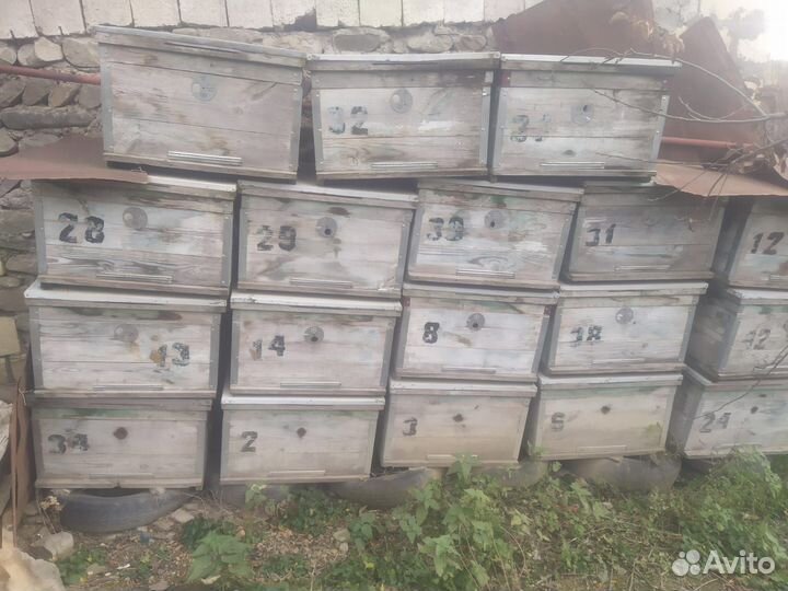 Ульи для пчел