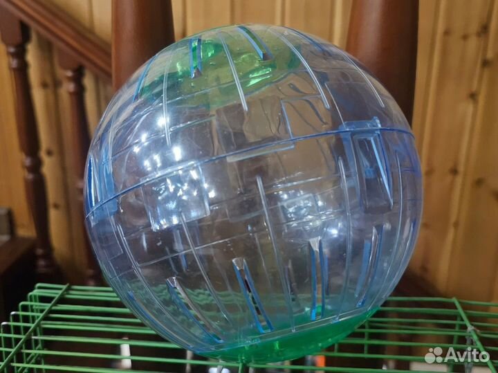 Прогулочный шар для грызунов