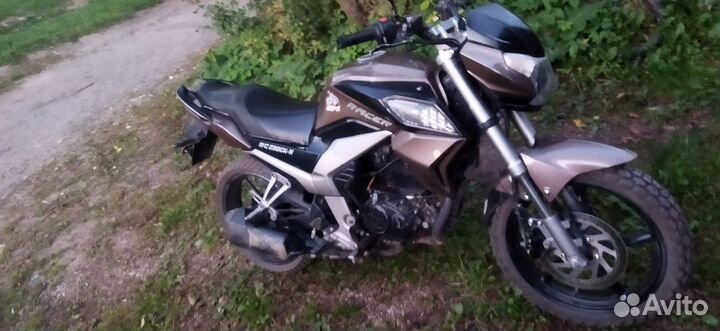 Racer rc250ck-n