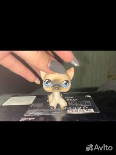 Littlest pet shop