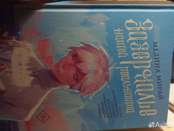Зазеркалье нашей реальности - Медина Мирай