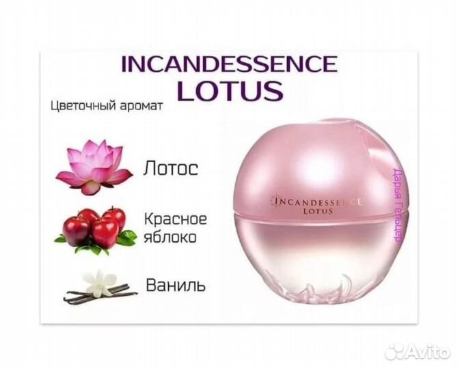 Incandessence Lotus Avon