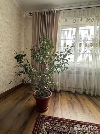 Домашние цветы