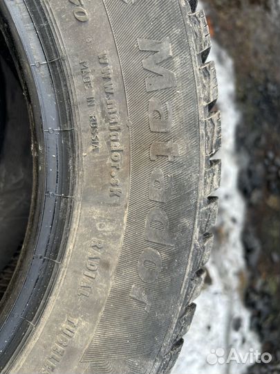 Matador MP 50 Sibir Ice 185/65 R14