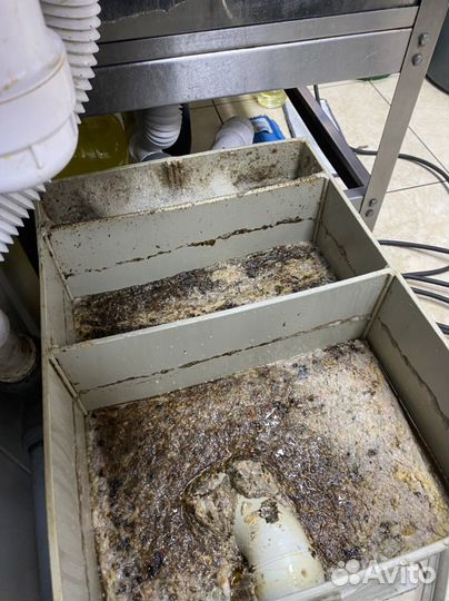 Чистка откачка жироуловителей