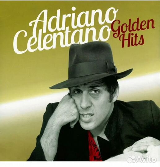 Виниловая пластинка