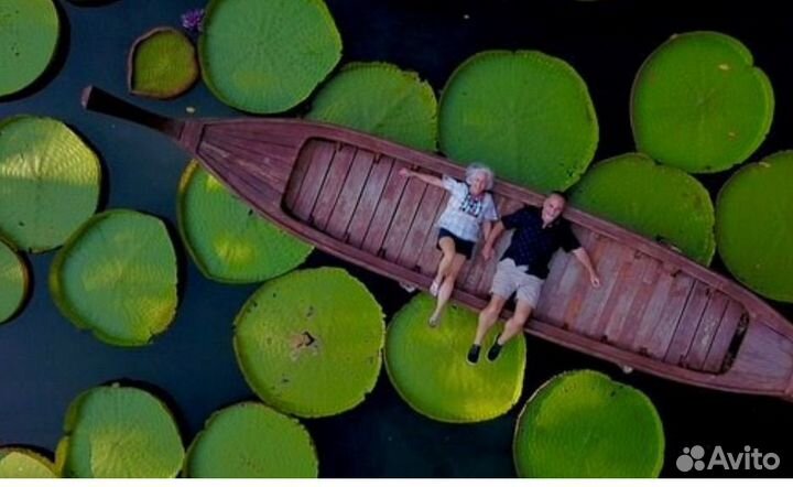 Йога тур вылет 28.03/Таиланд