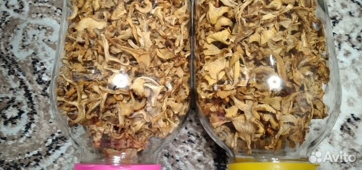 Сушеные грибы лисички