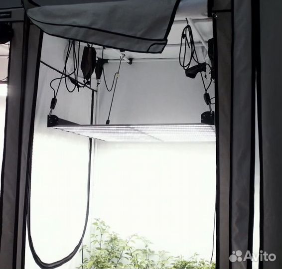 Big cock design Flasher 600w iruvs