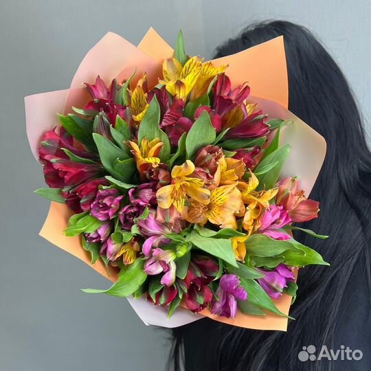 Альстромерия Альстромерии