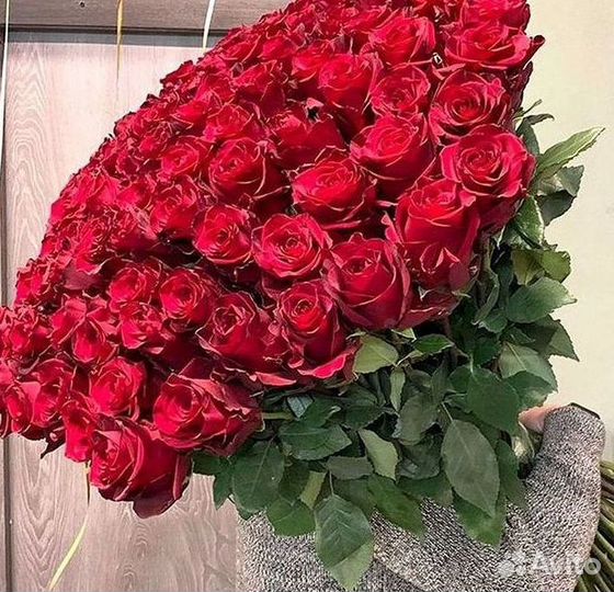 Высокие Розы Гиганты Доставка Круглосуточно