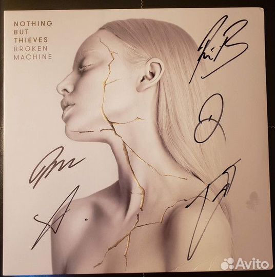 Виниловая пластинка Nothing but Thieves broken mac