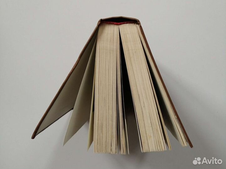 С.Чичагов Летопись Серафимо-Дивеевского монастыря