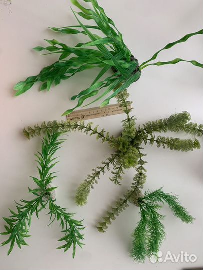 Обмен на анубиас Украшение для аквариума