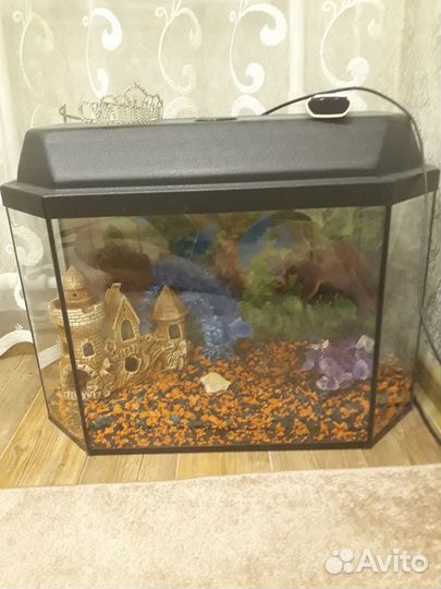 Аквариум