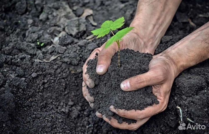 Чернозём. Плодородная земля. Торфогрунт. А65