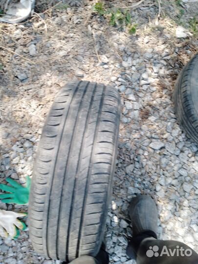 Nokian birdman x2