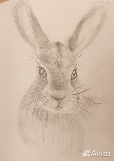 Рисунки на заказ