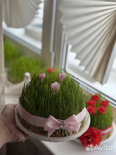 Семени на Новруза