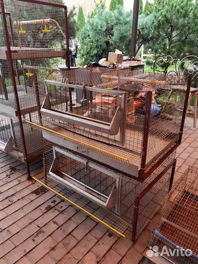 Клетки для перепелов, куриц и бройлеров бу