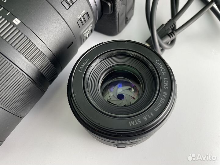 Canon R + RF 100mm macro + RF 50mm 1.8 + X2t + B+W