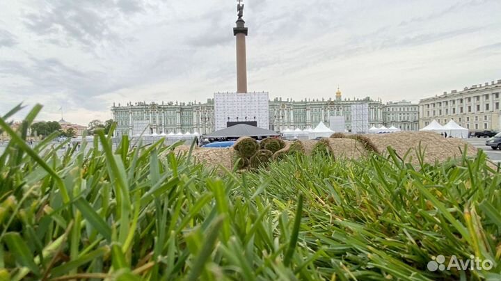 Рулонный газон 